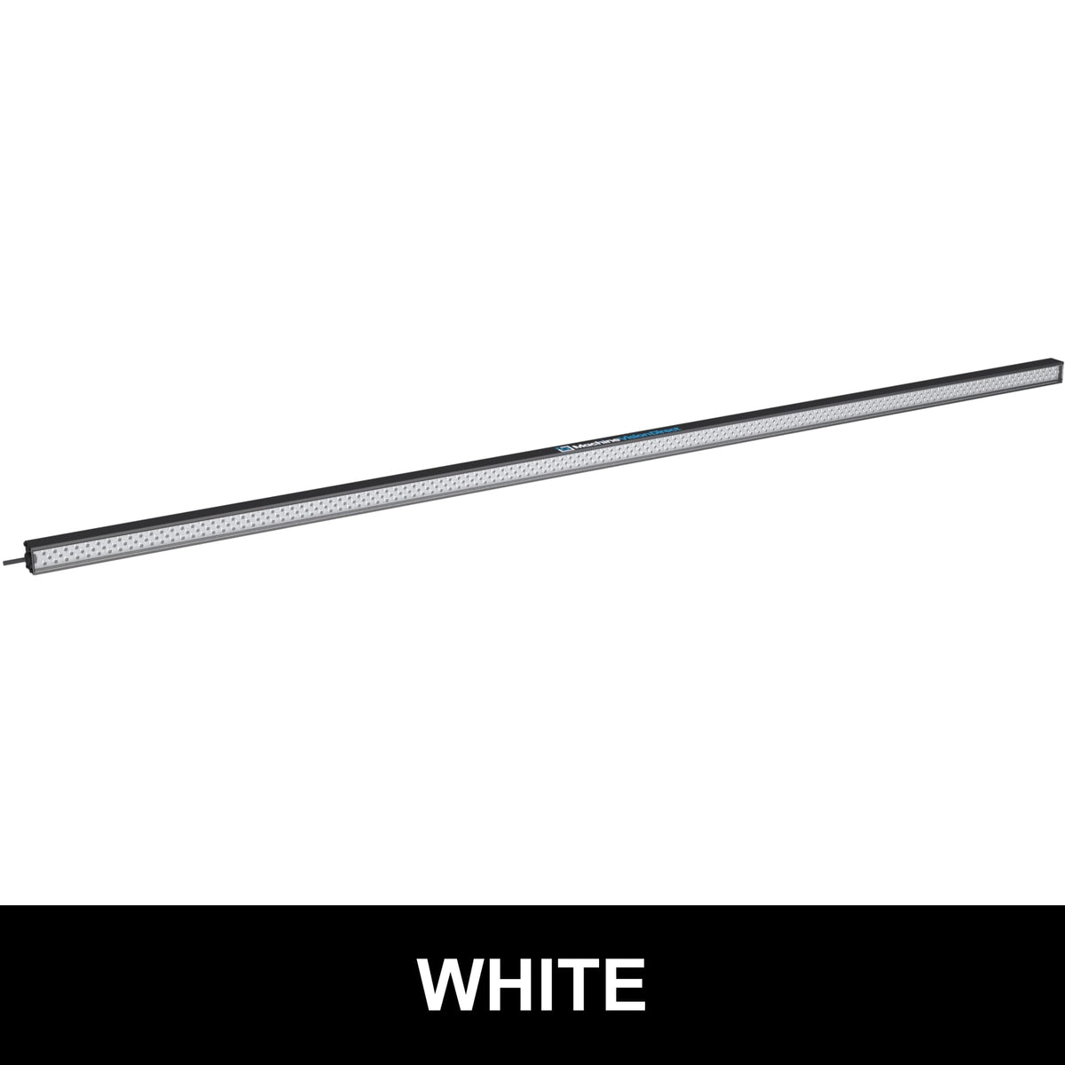 BL193 Standard Intensity Linear Backlight