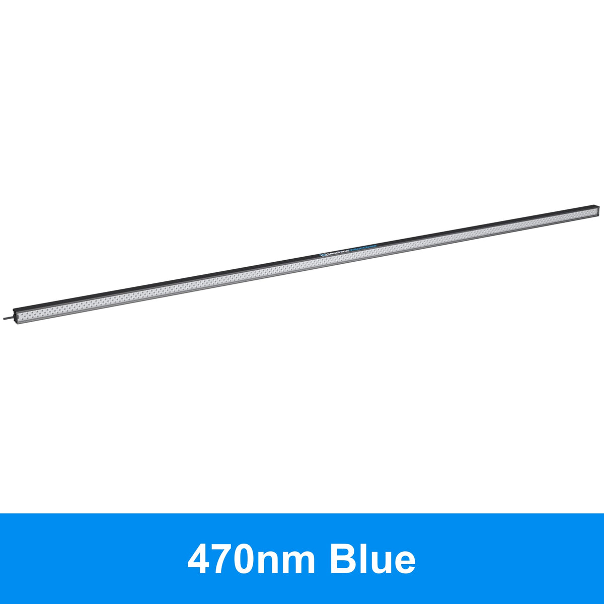 BL193 Standard Intensity Linear Backlight