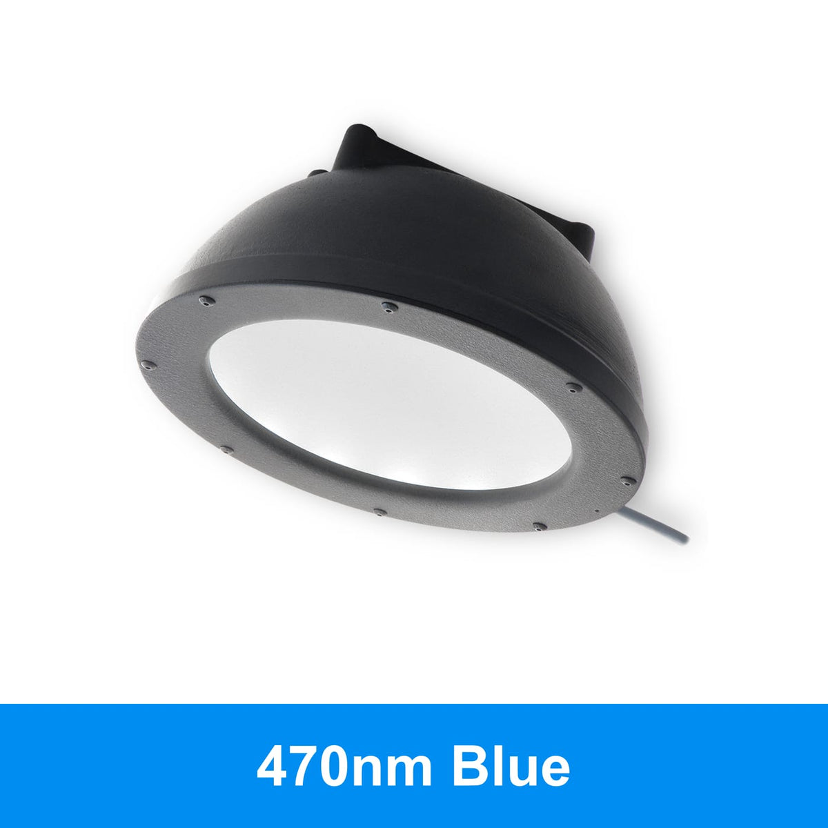 DL097 product image