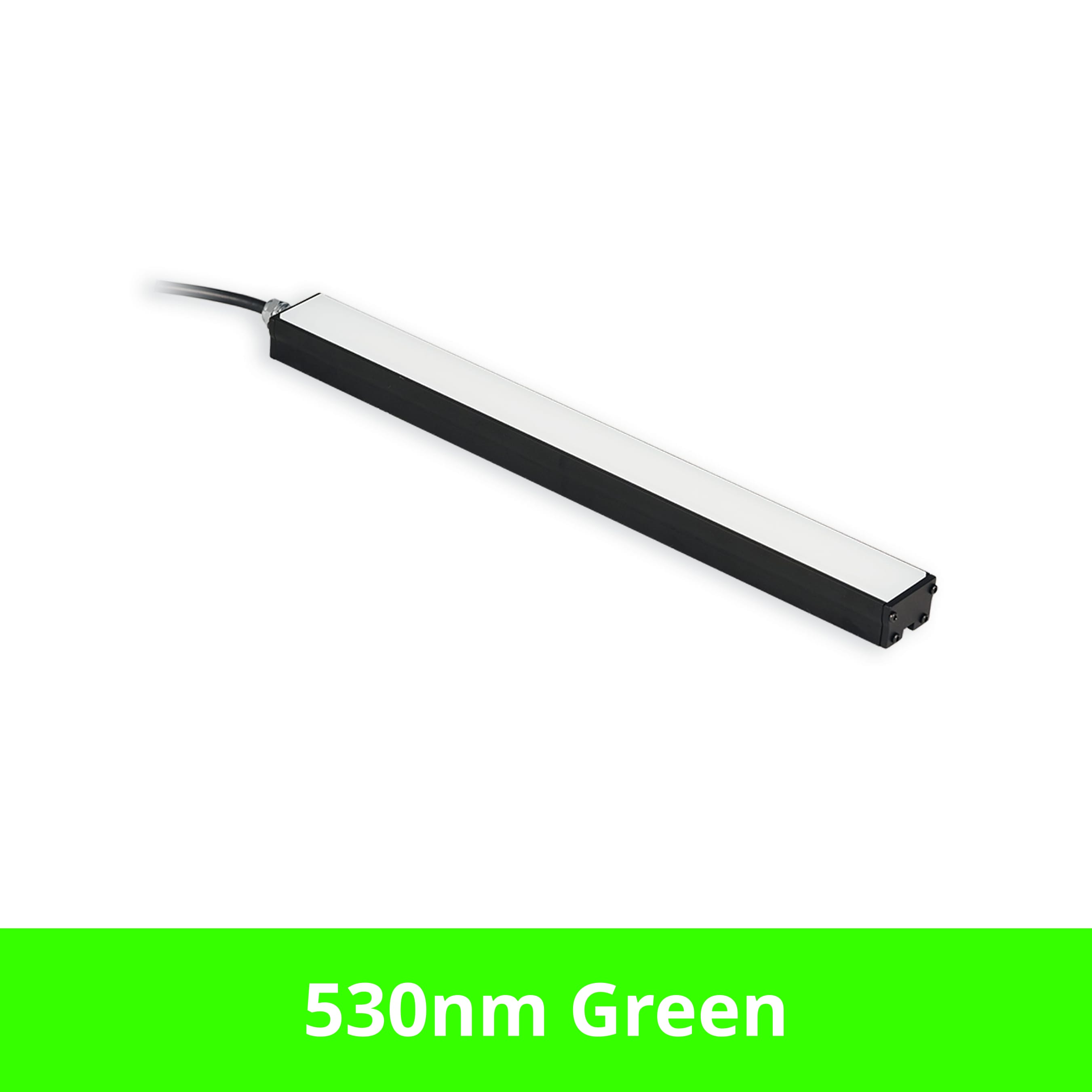 BL31312 product image