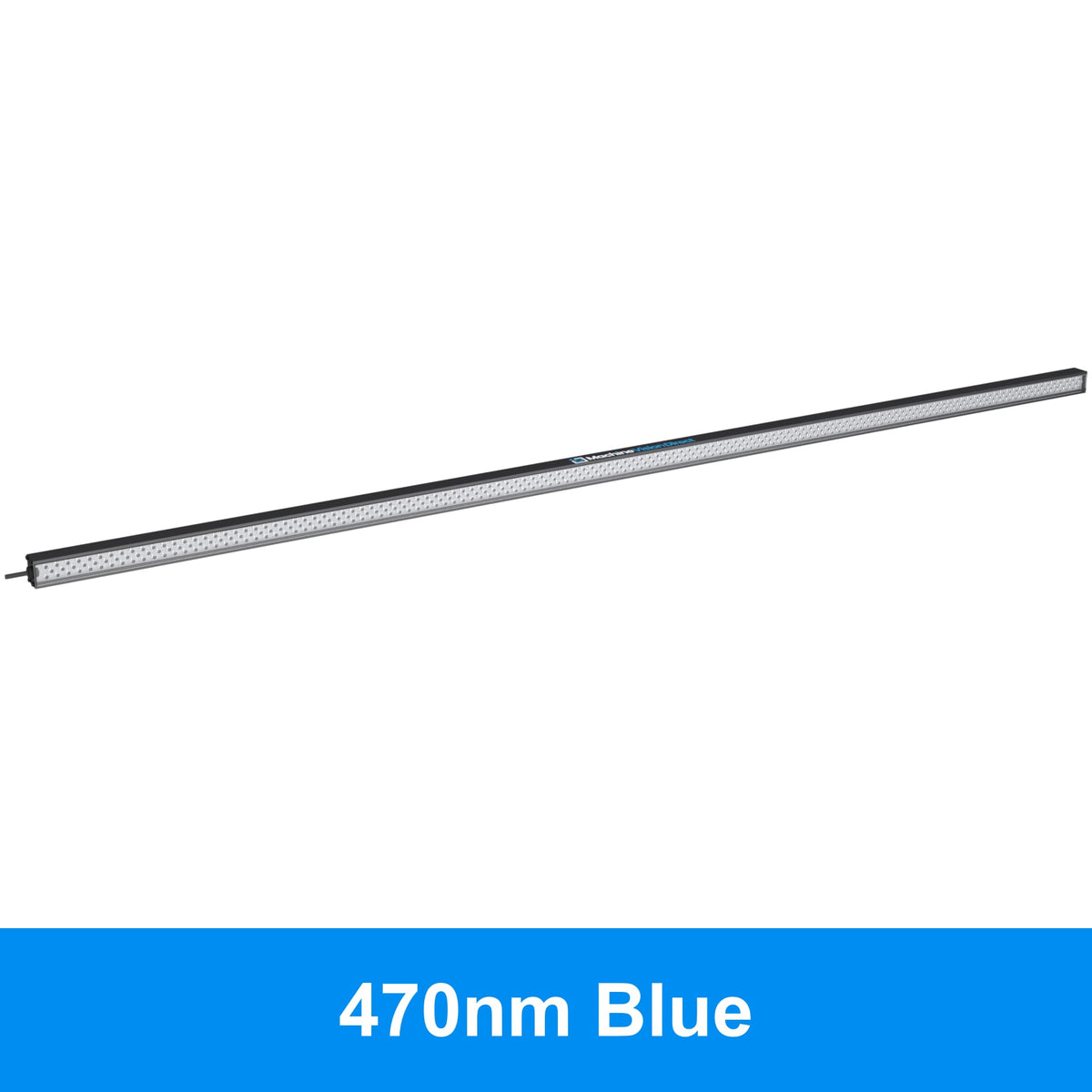 BL193 Standard Intensity Linear Backlight