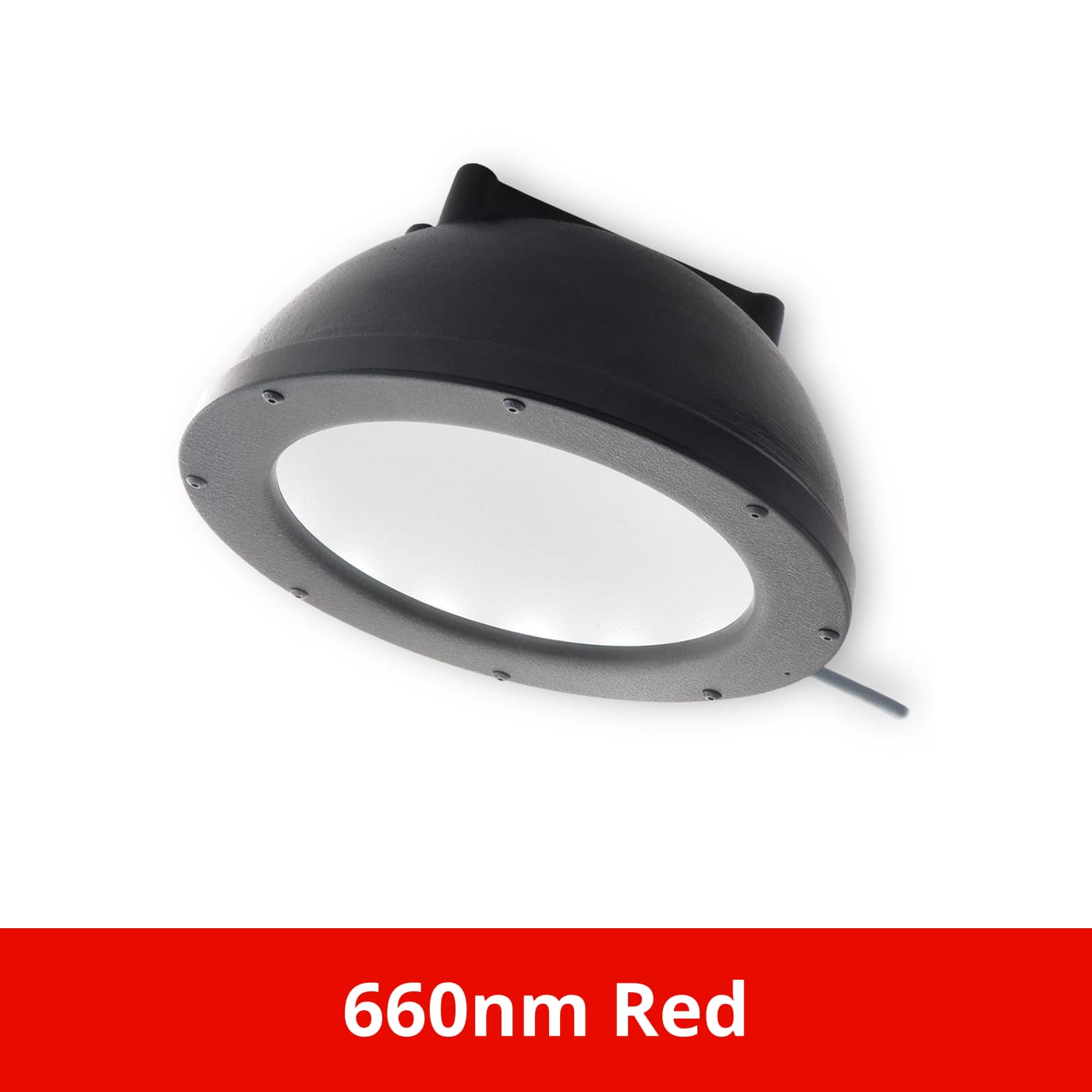 DL097 product image