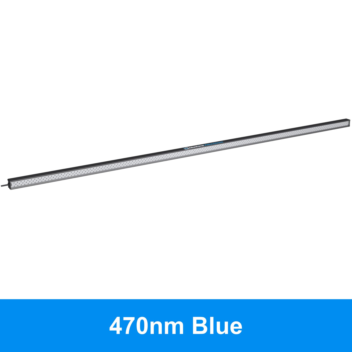 BL193 Standard Intensity Linear Backlight