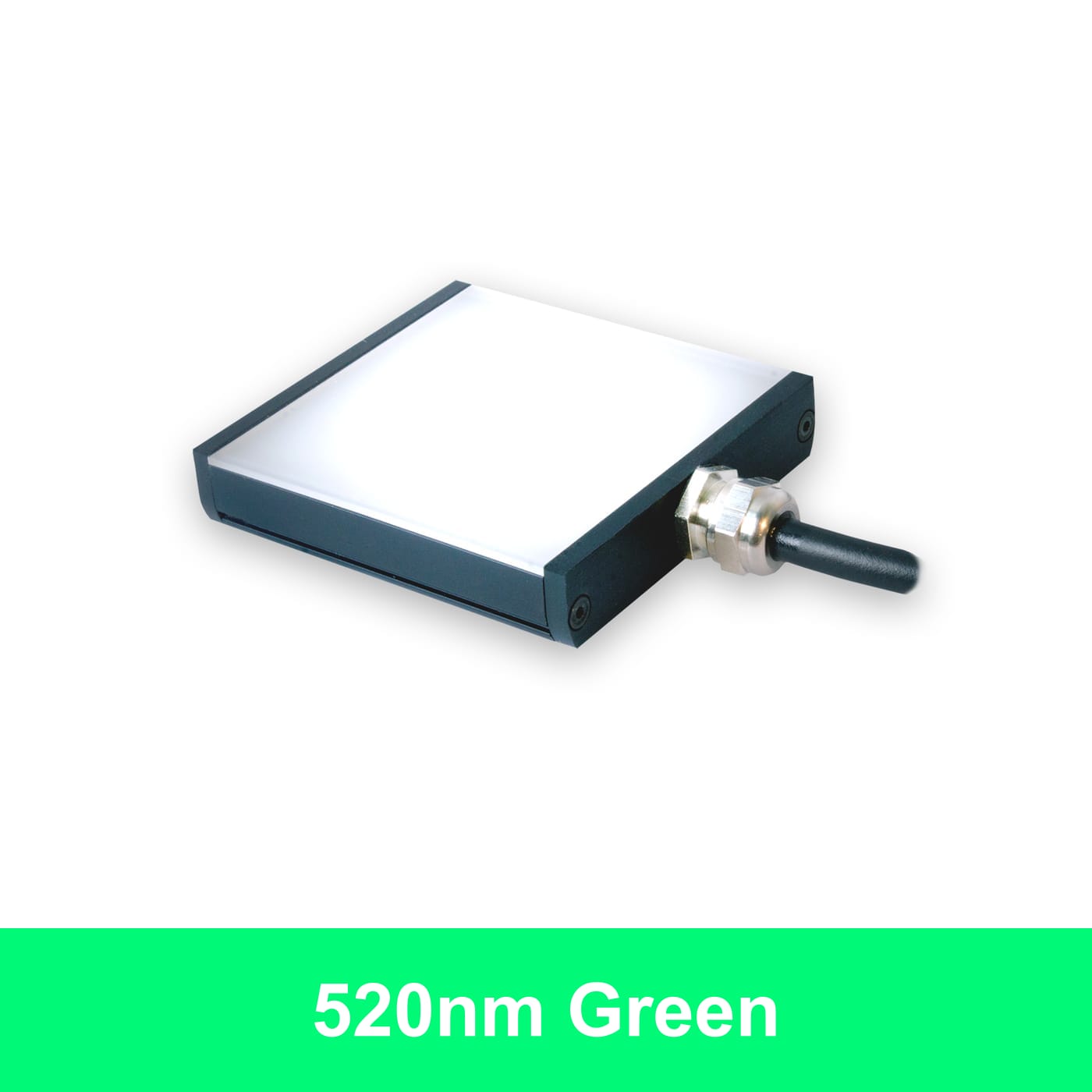 BL12813 product image