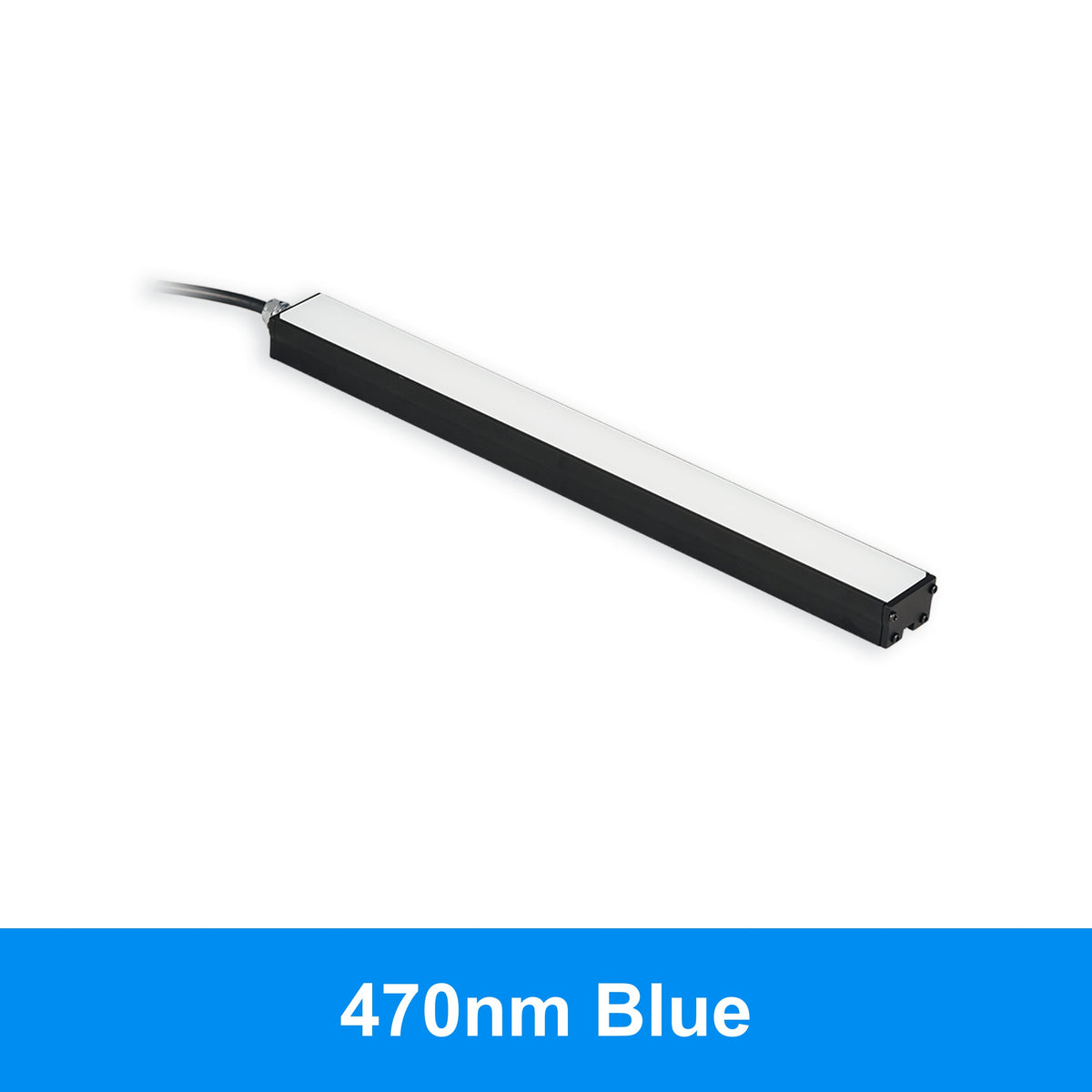 BL31310 product image