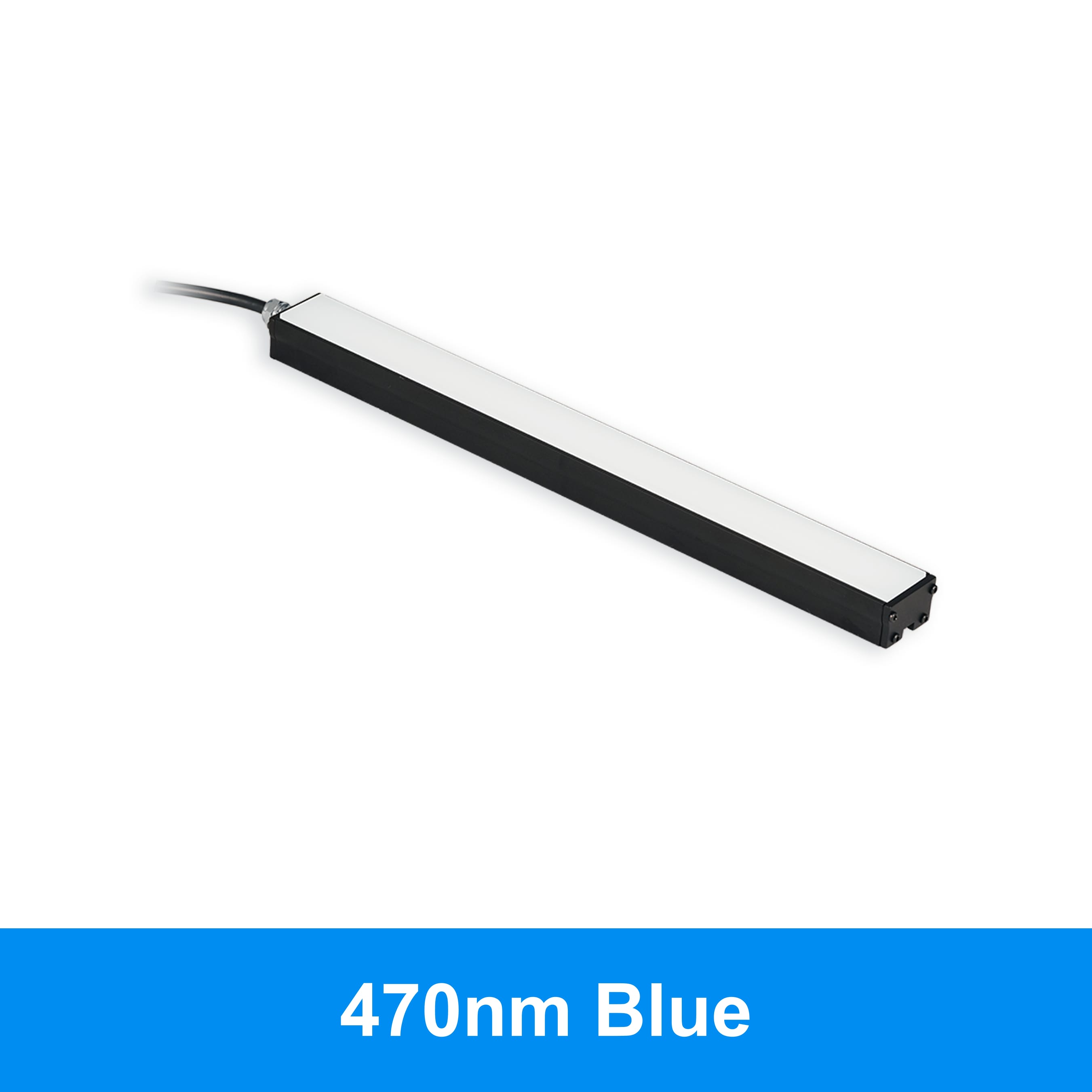 BL31312 product image