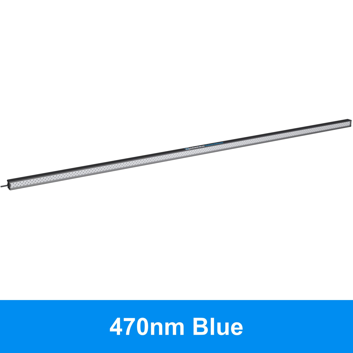 BL193 Standard Intensity Linear Backlight