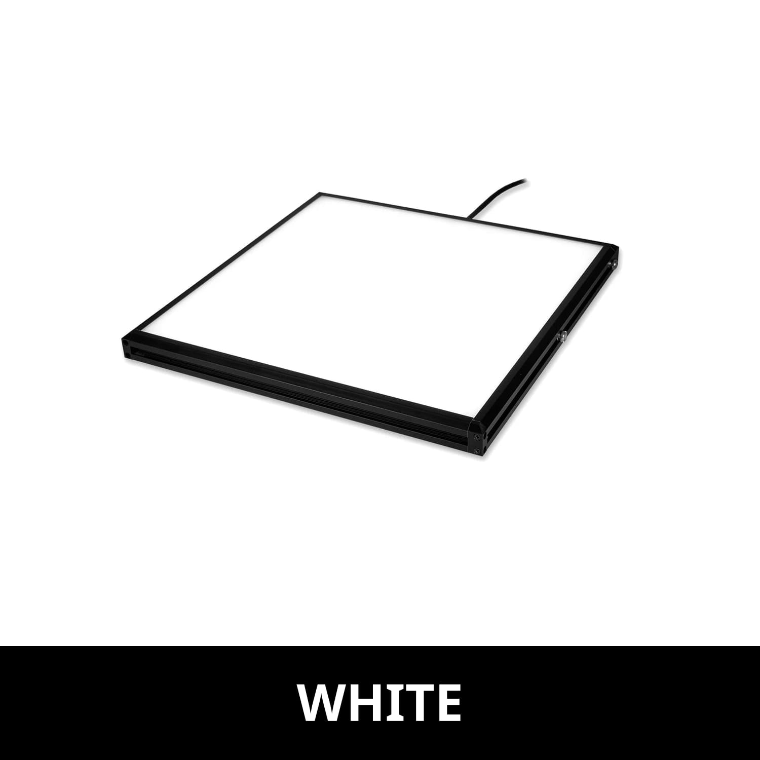 BL20606 product image