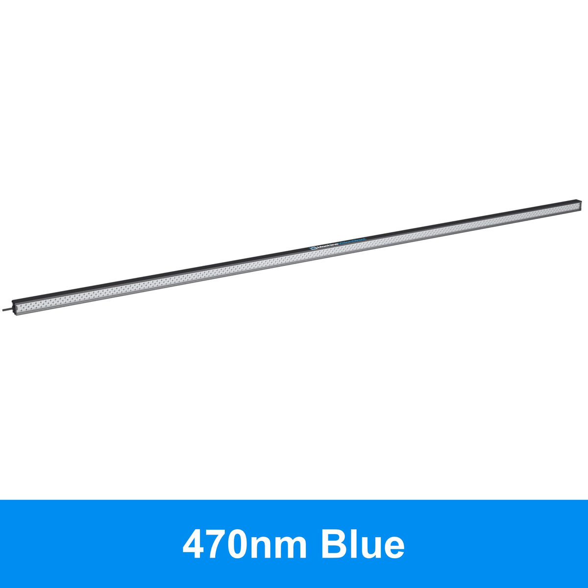 BL193 Standard Intensity Linear Backlight