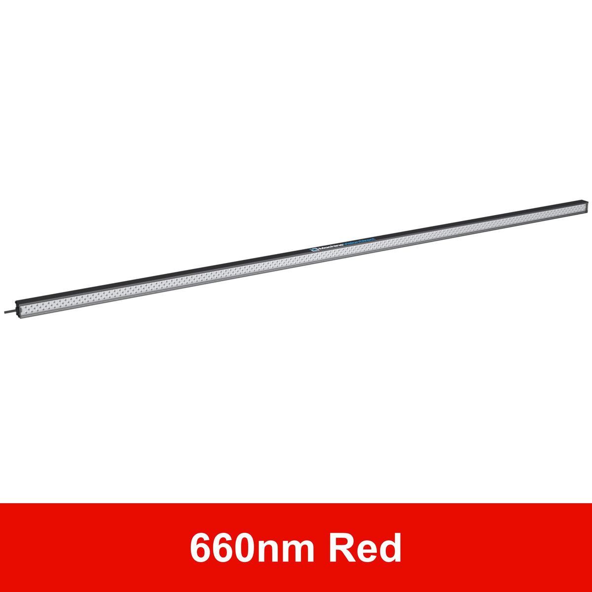 BL193 Standard Intensity Linear Backlight