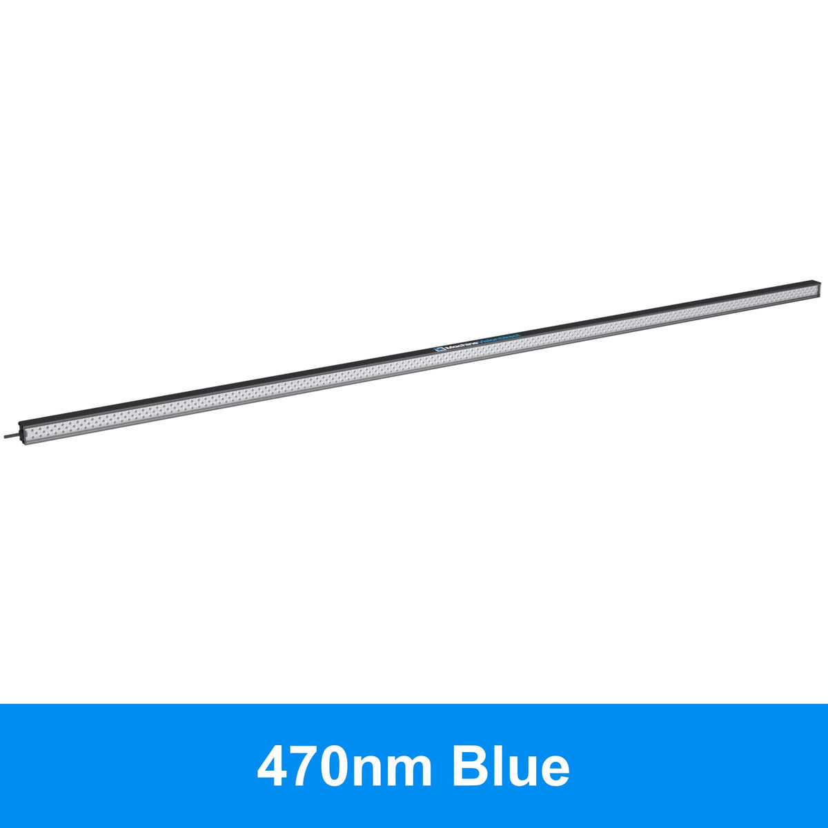 BL193 Standard Intensity Linear Backlight