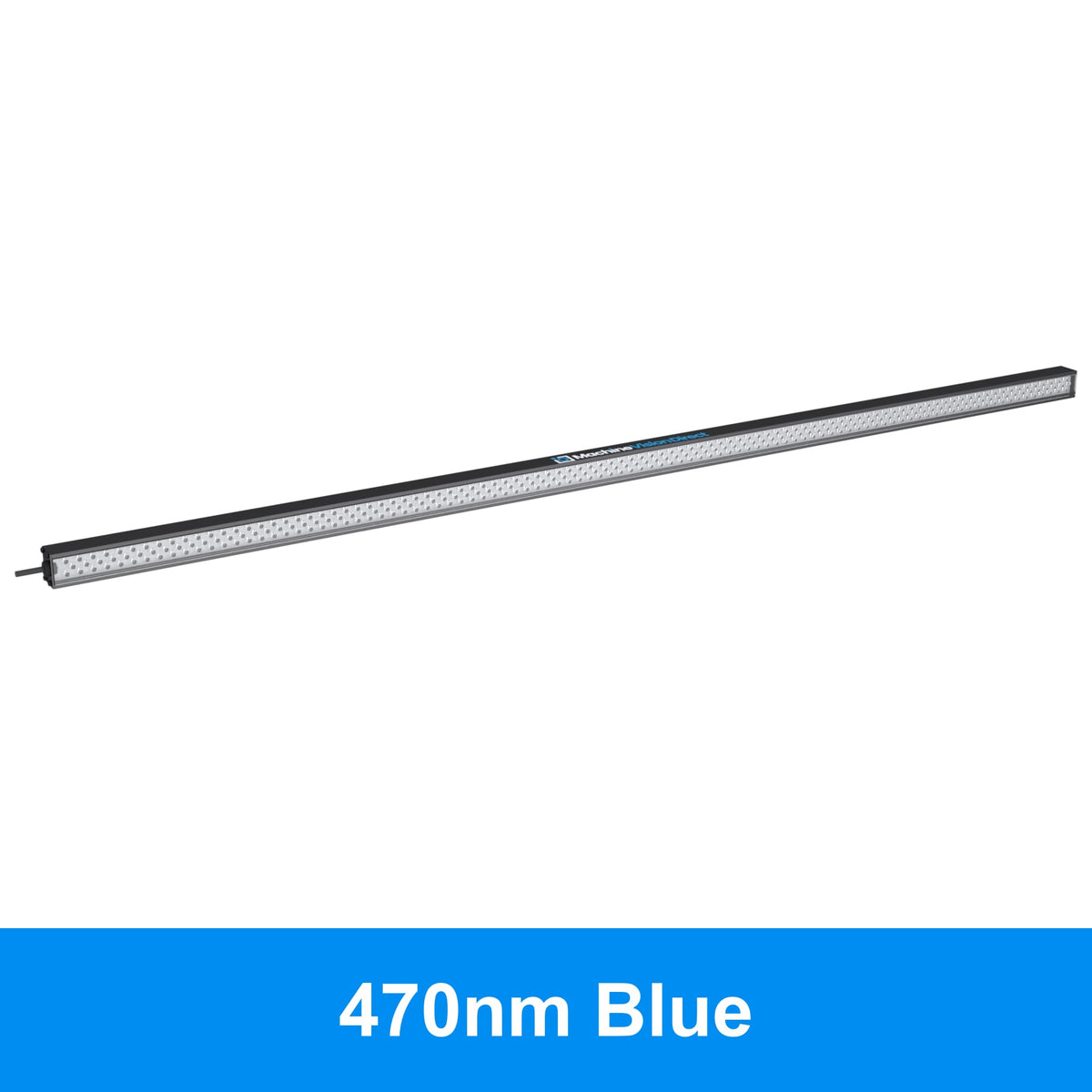 BL193 Standard Intensity Linear Backlight