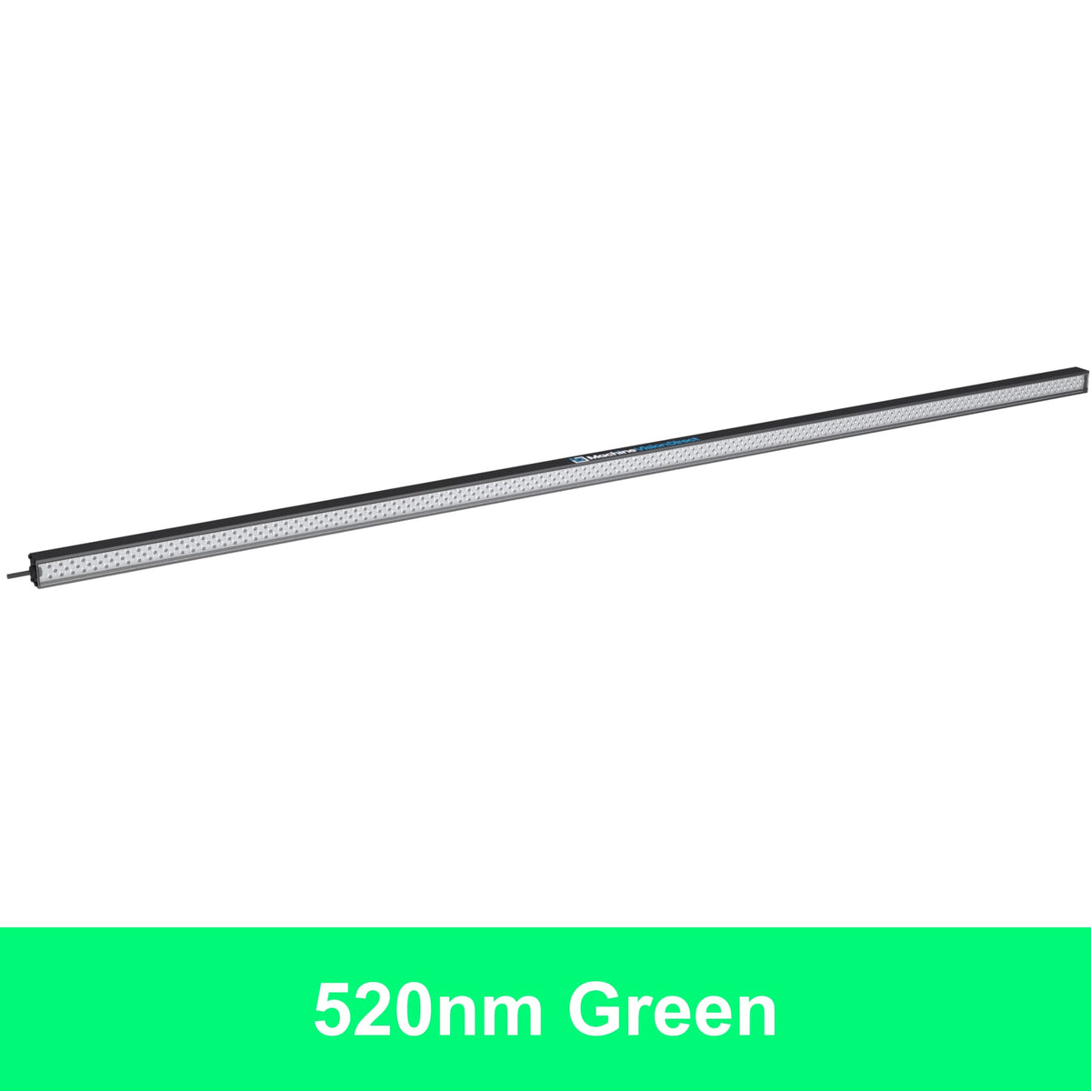 BL193 Standard Intensity Linear Backlight