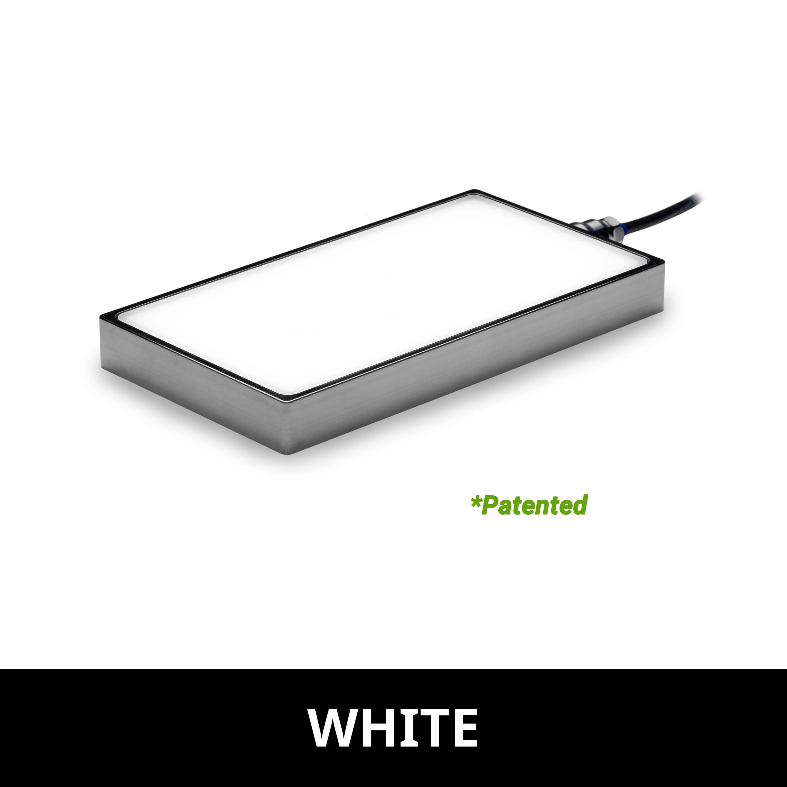 BL2450808 product image