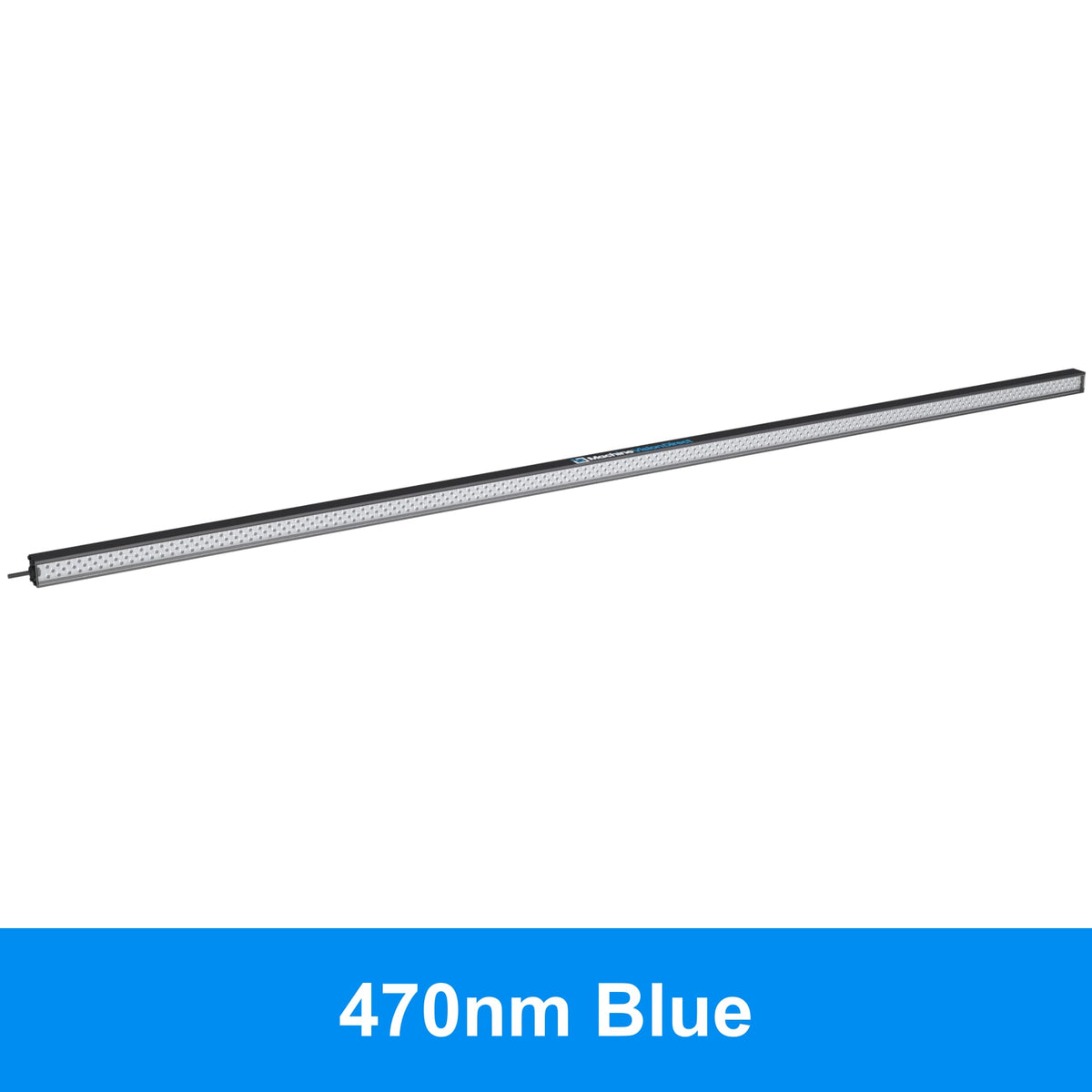 BL193 Standard Intensity Linear Backlight