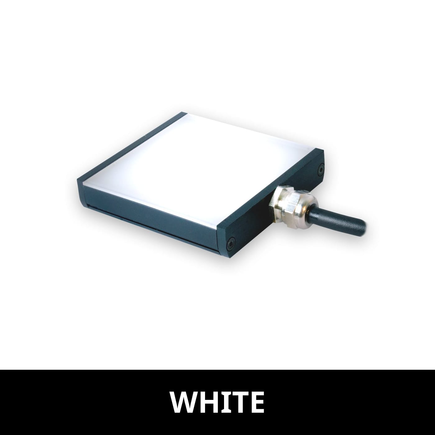 BL12801 product image