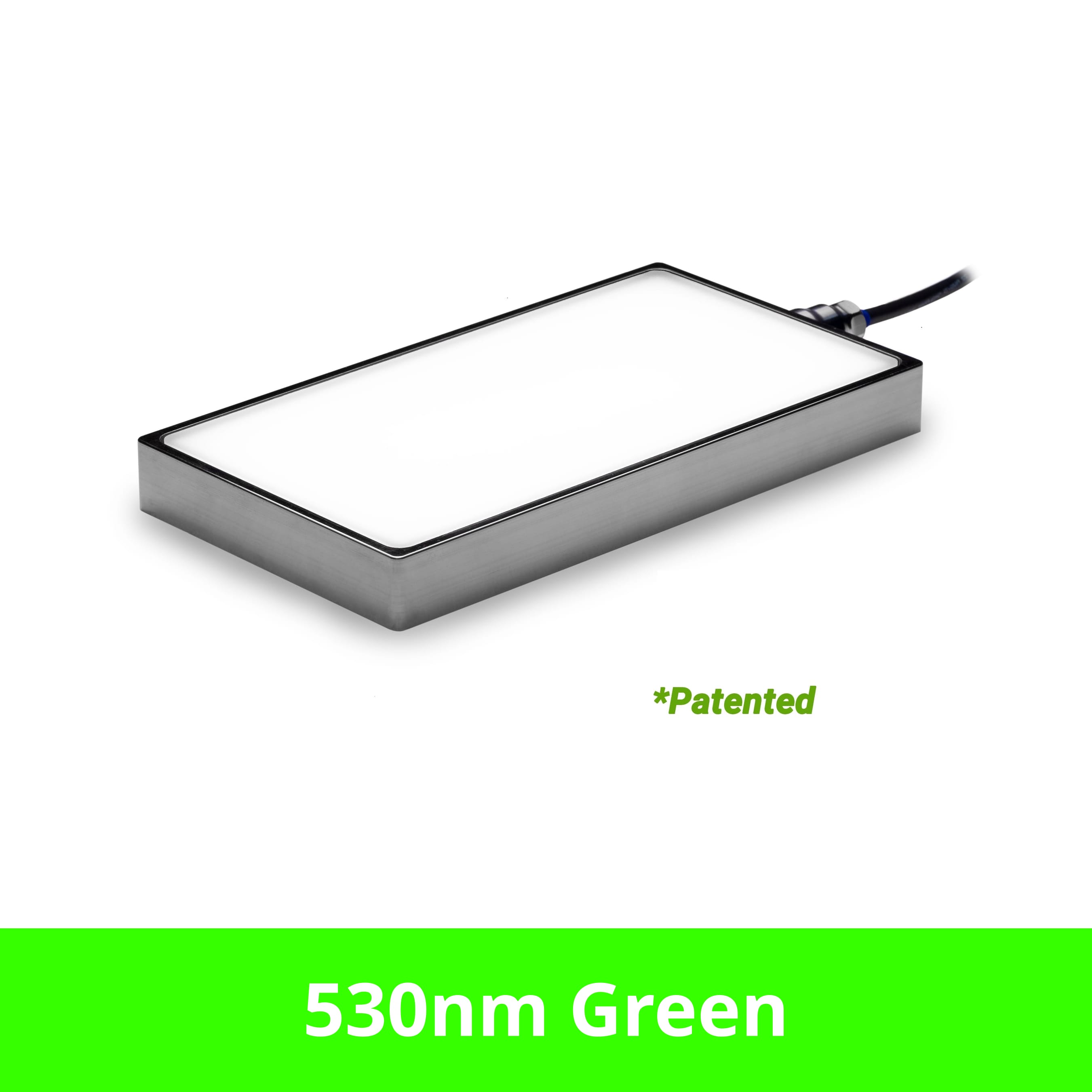 BL2450202 product image
