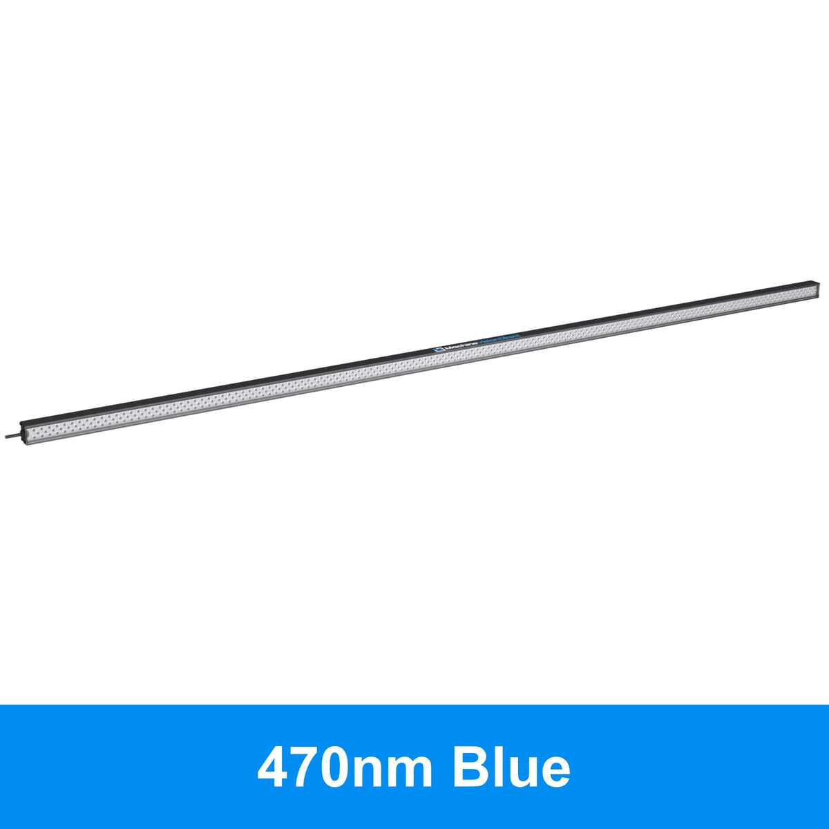BL193 Standard Intensity Linear Backlight