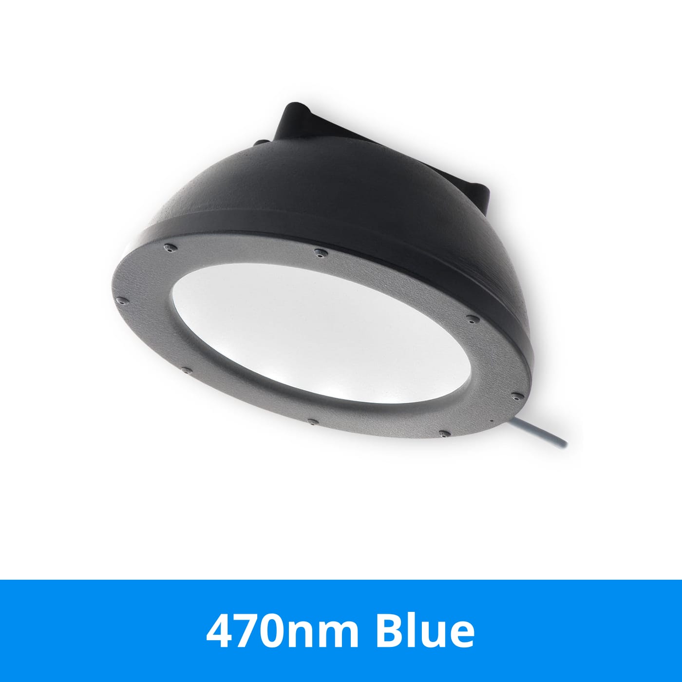 DL097 product image