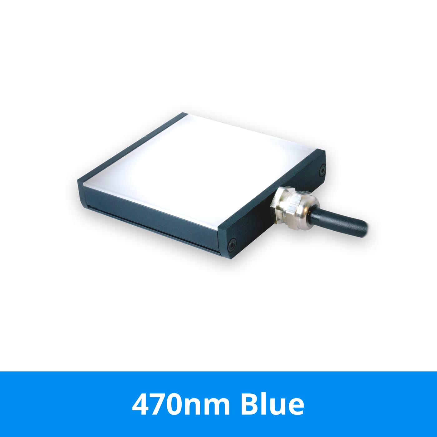 BL12807 product image