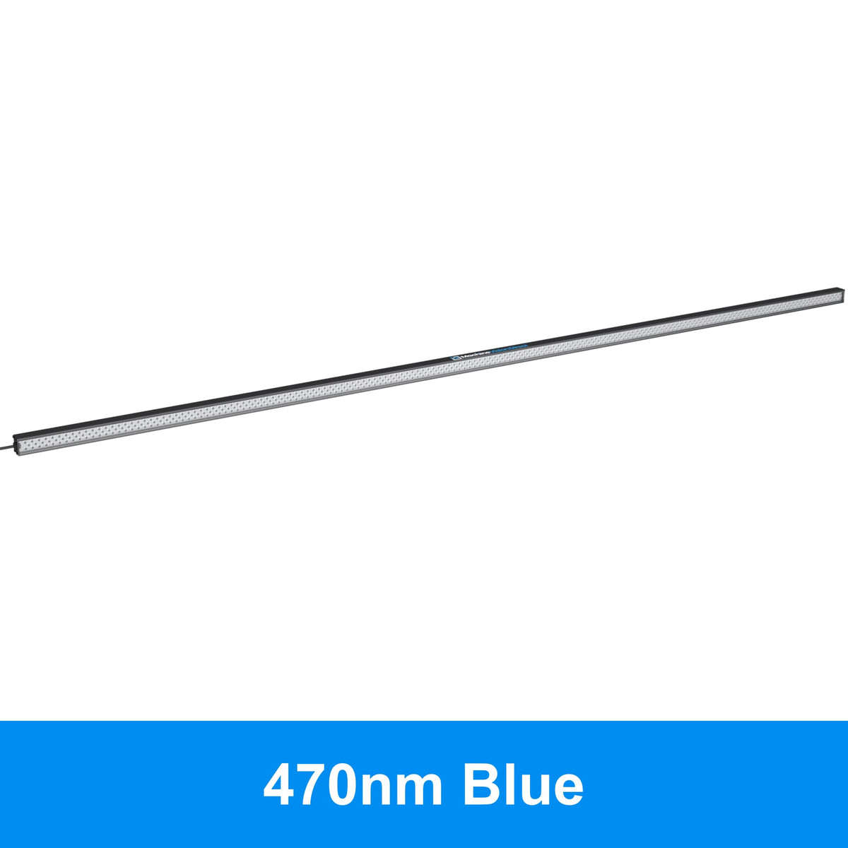 BL193 Standard Intensity Linear Backlight