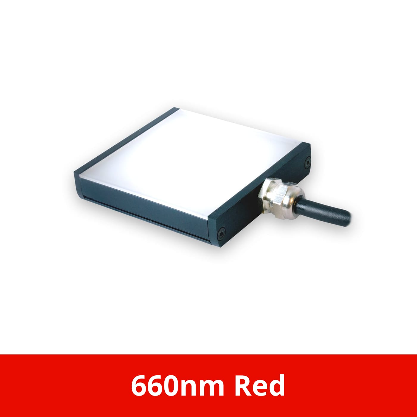 BL12801 product image