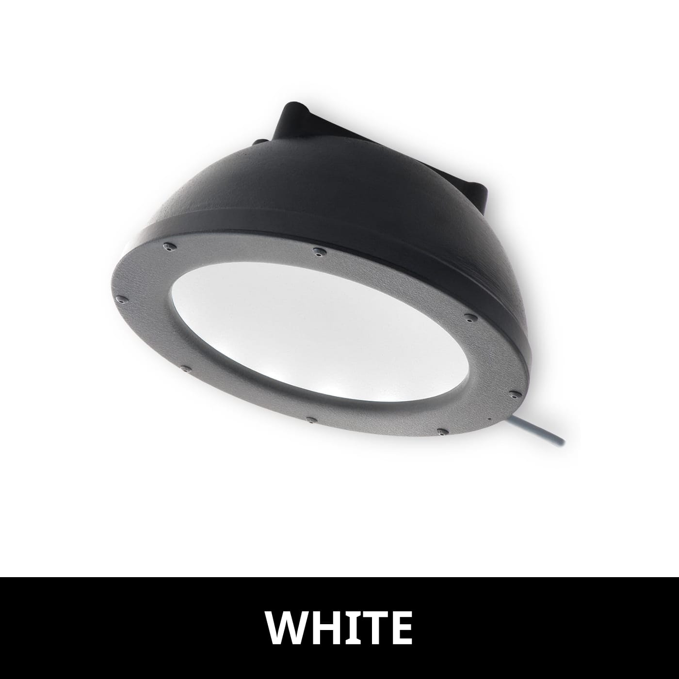DL097 product image