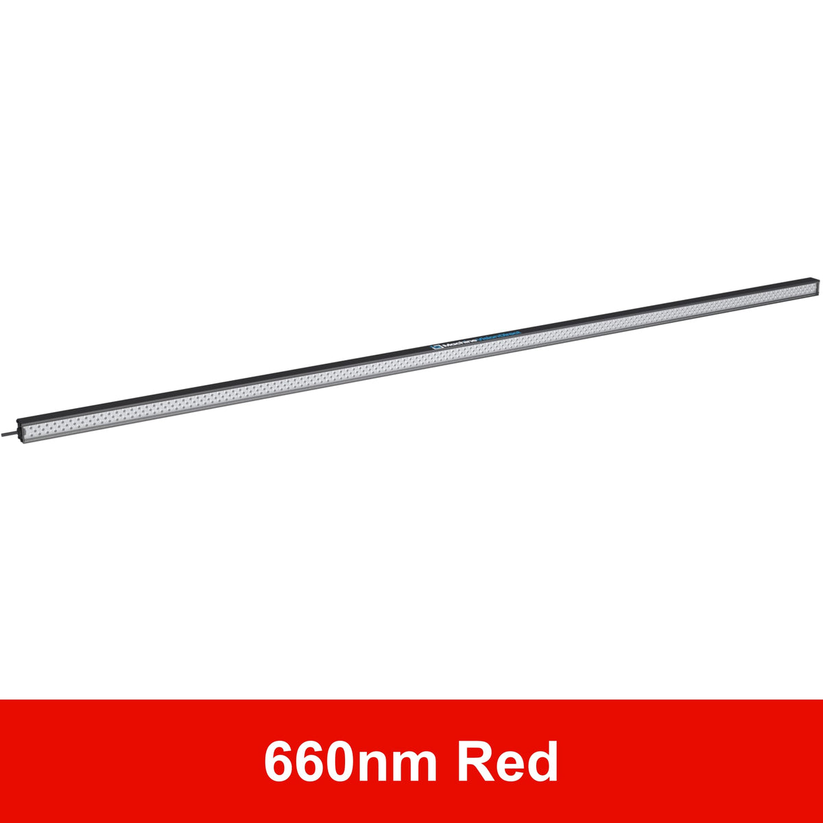 BL193 Standard Intensity Linear Backlight