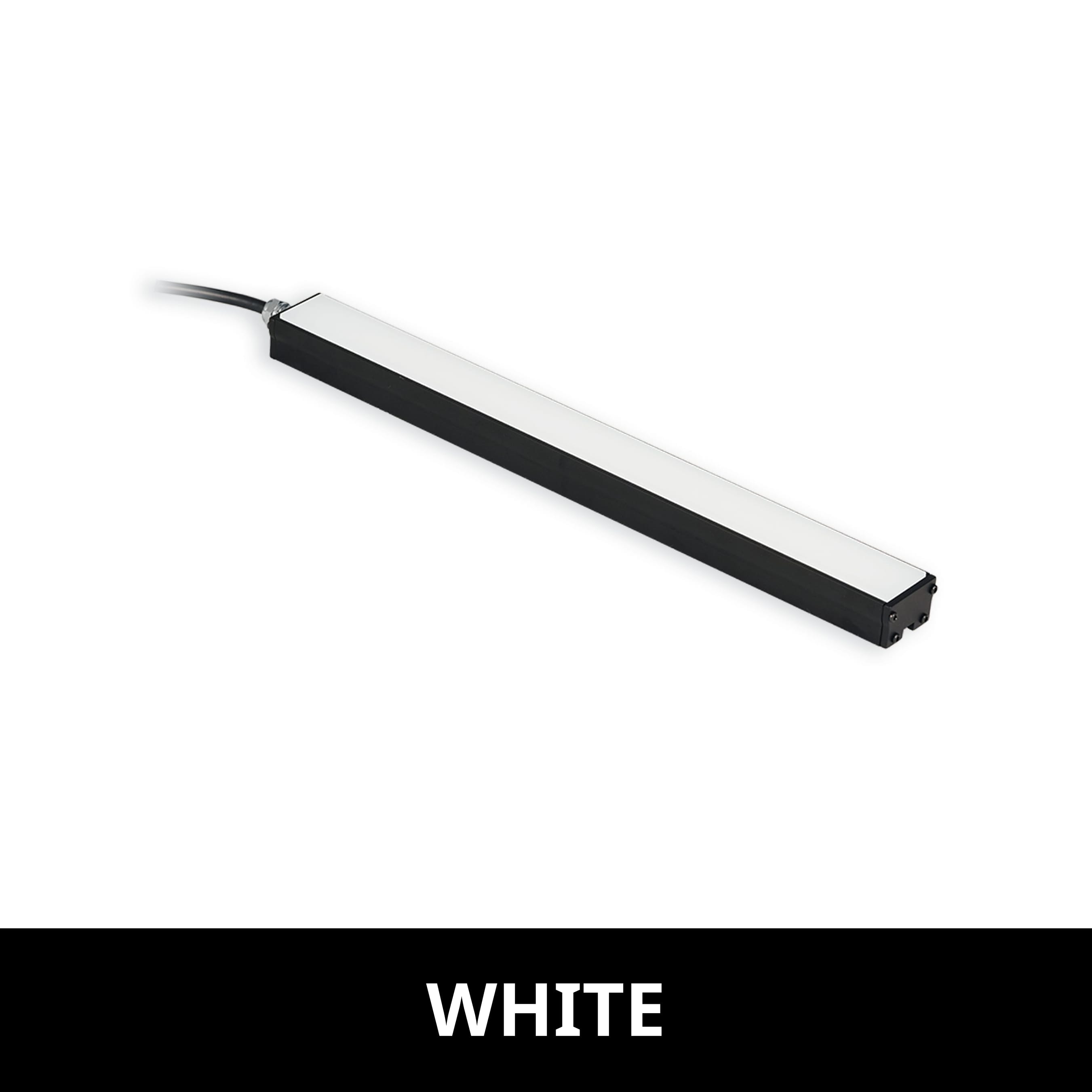 BL31312 product image