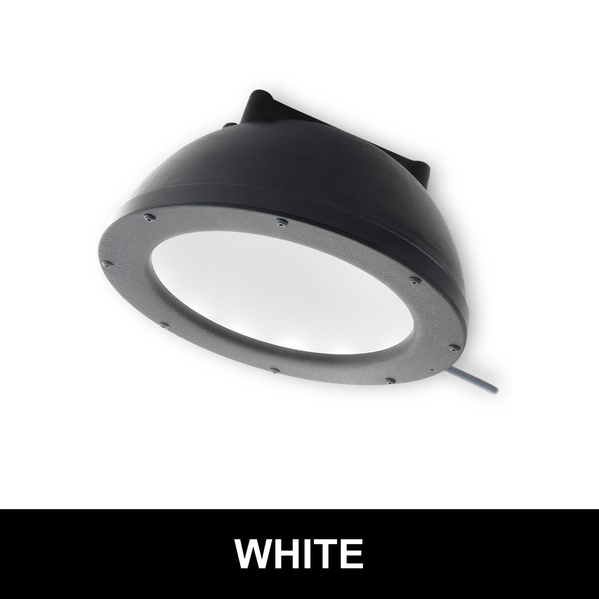 DL097 product image
