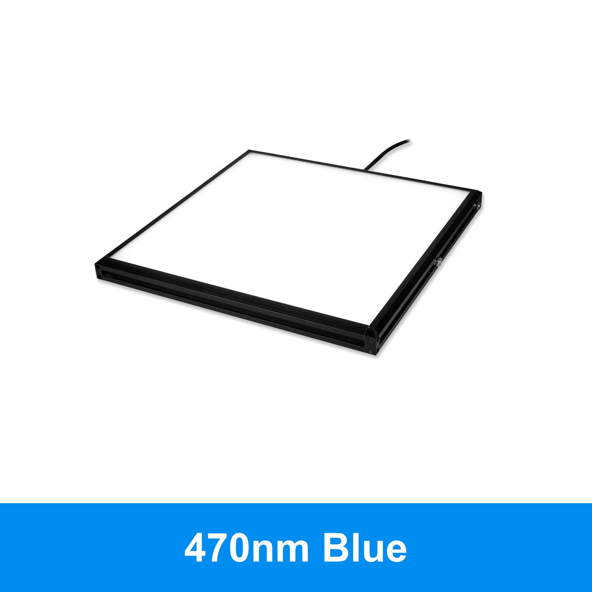 BL20909 product image
