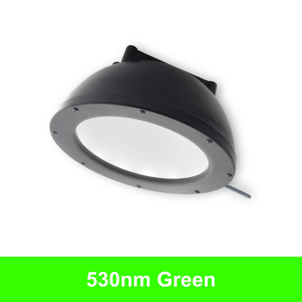 DL097 product image