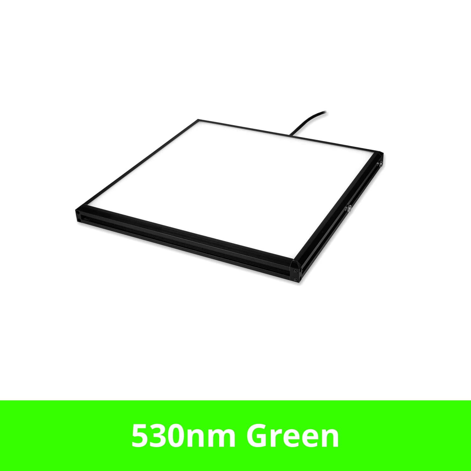 BL20606 product image