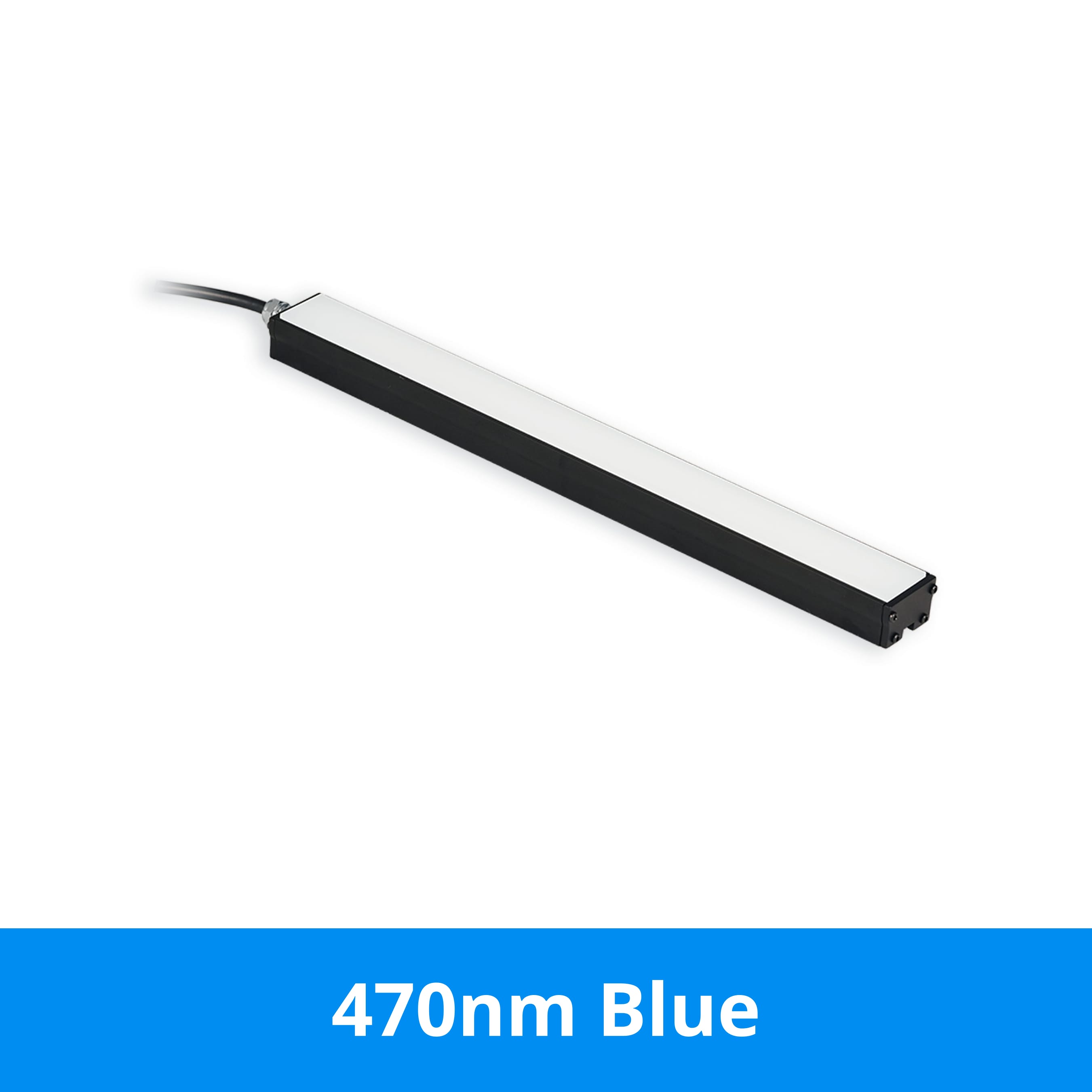 BL31304 product image