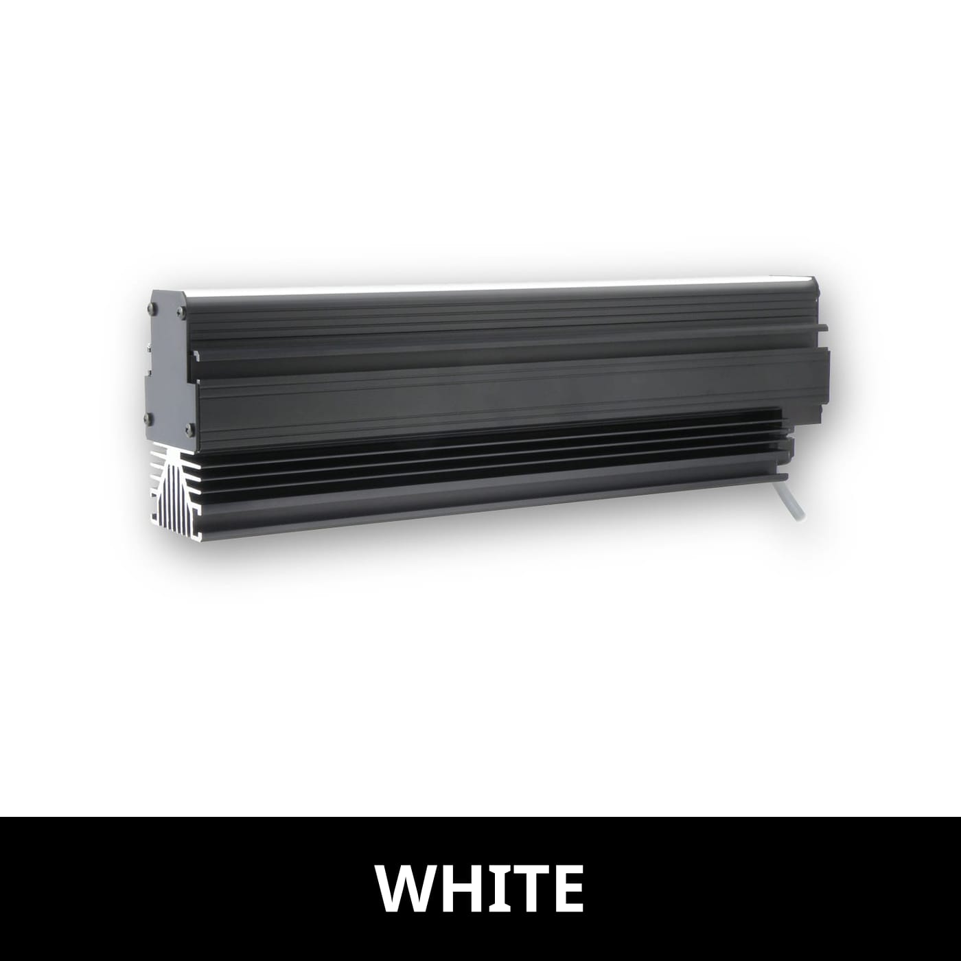 BL16812 product image