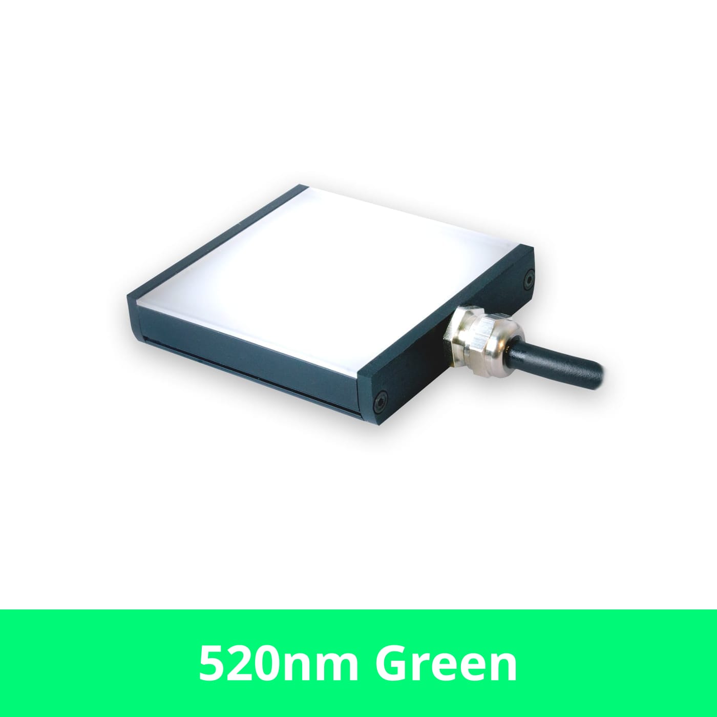 BL12807 product image