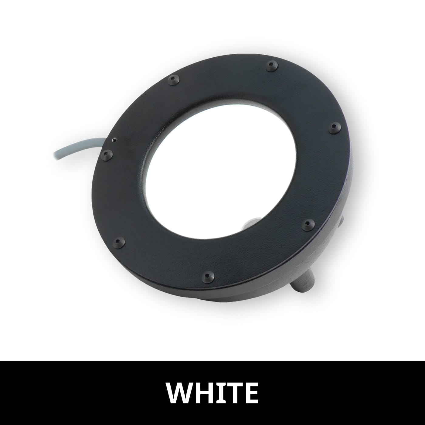 DL194 product image