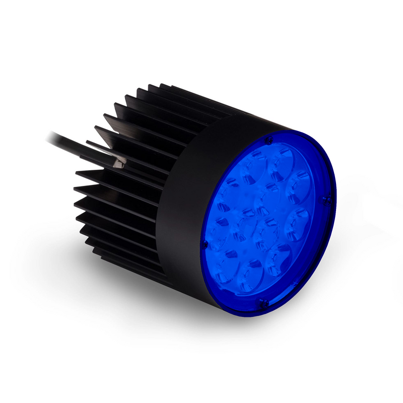 SL246-455I3S High Intensity Spot Light, Royal Blue (455nm), ICS 3S (I3S) Driver | Advanced Illumination